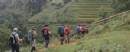 TOURISTS IN Sapa trekking to local villages - TL216
